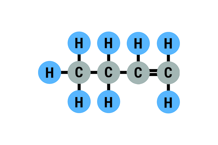 the molecular bonds of butene